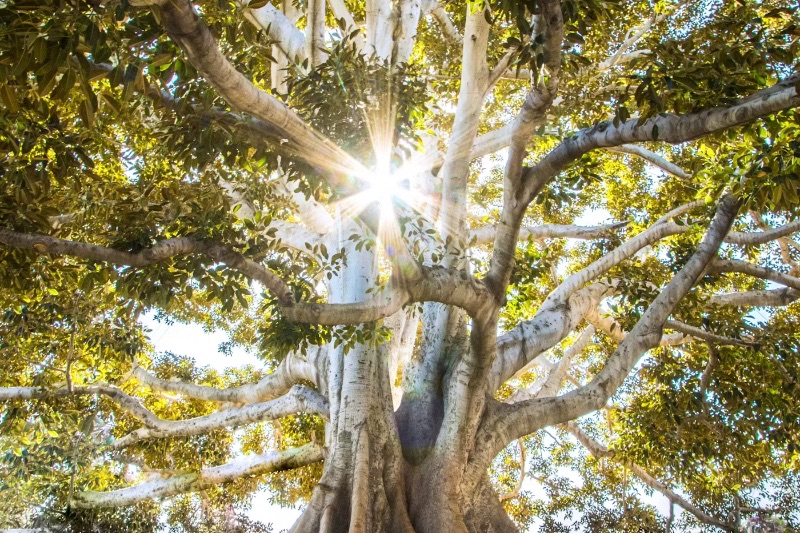 Jeremy Bishop auf Unsplash